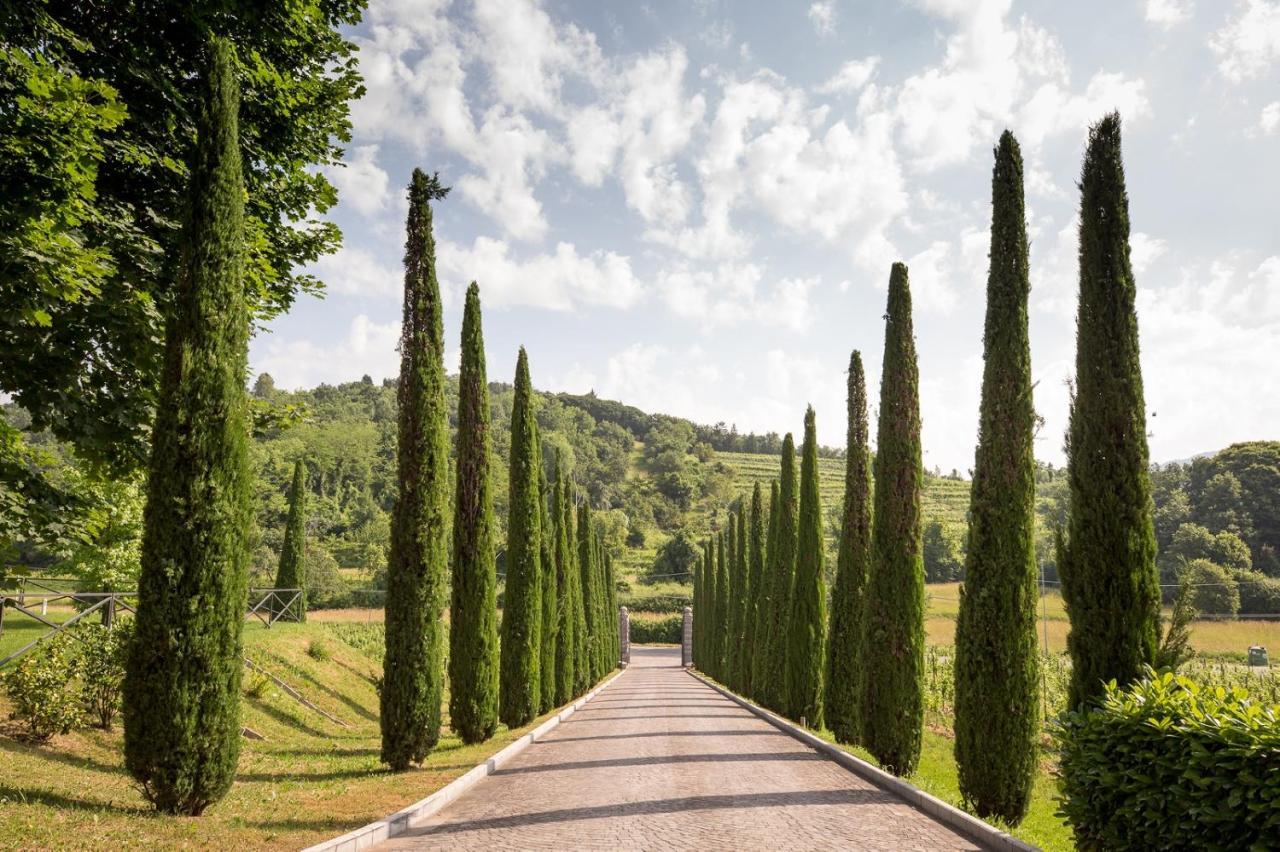 Il Roncal Wine Resort - For Wine Lovers Cividale Del Friuli Ngoại thất bức ảnh