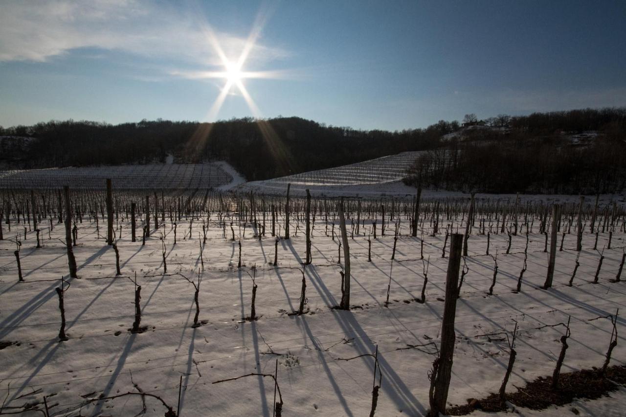 Il Roncal Wine Resort - For Wine Lovers Cividale Del Friuli Ngoại thất bức ảnh