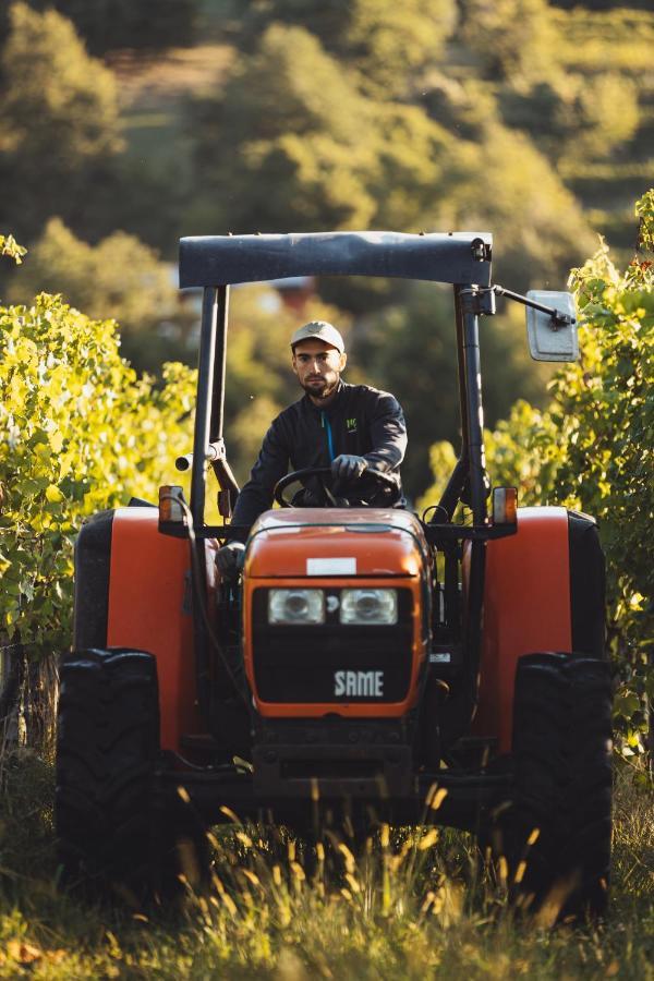 Il Roncal Wine Resort - For Wine Lovers Cividale Del Friuli Ngoại thất bức ảnh