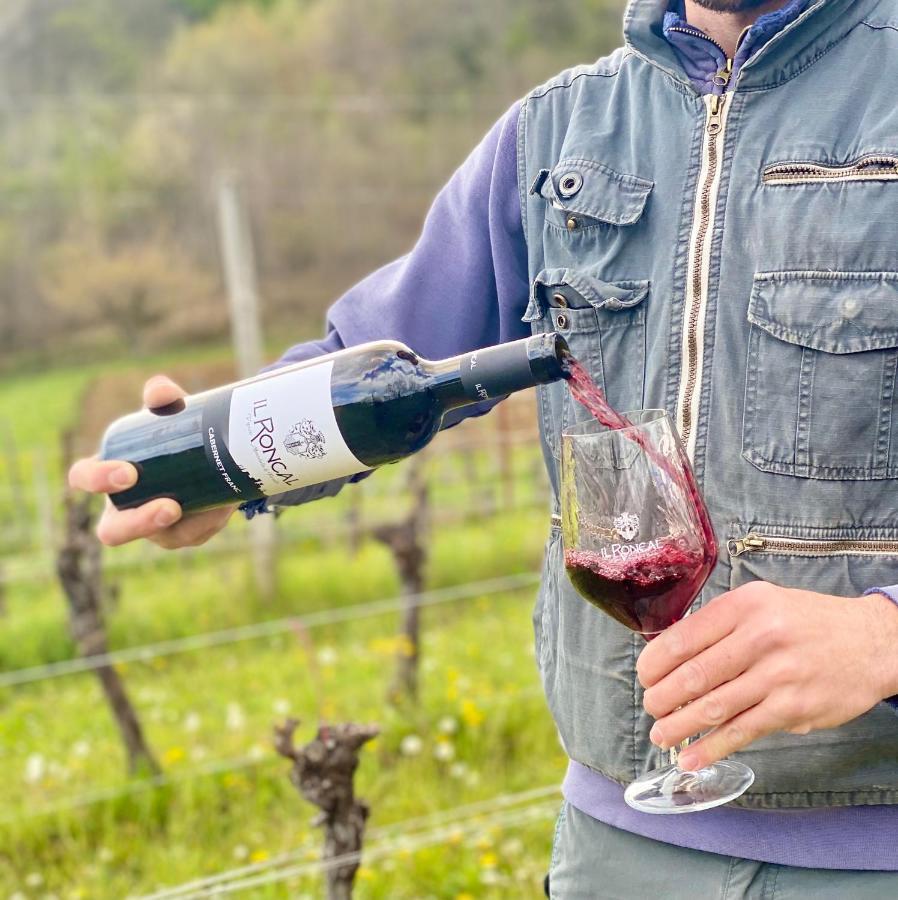 Il Roncal Wine Resort - For Wine Lovers Cividale Del Friuli Ngoại thất bức ảnh