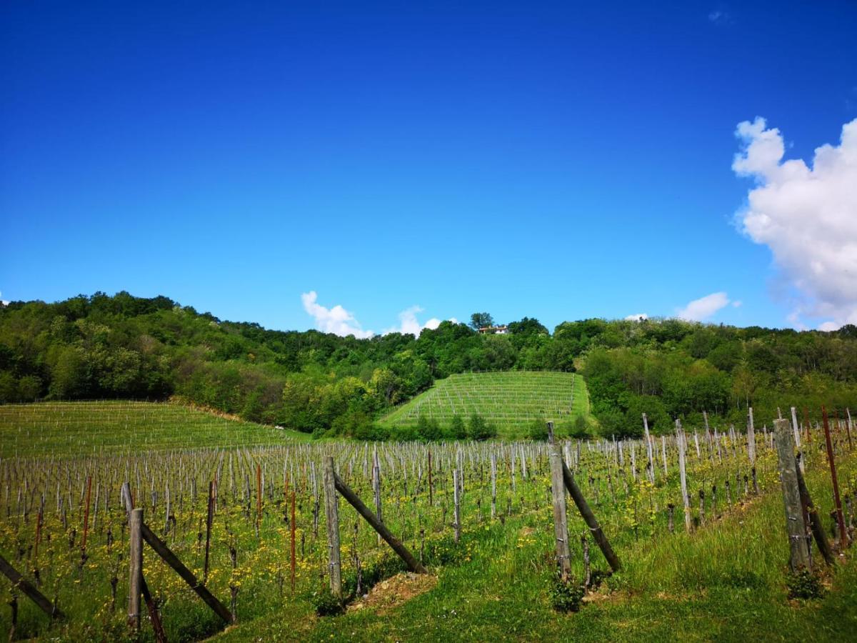 Il Roncal Wine Resort - For Wine Lovers Cividale Del Friuli Ngoại thất bức ảnh