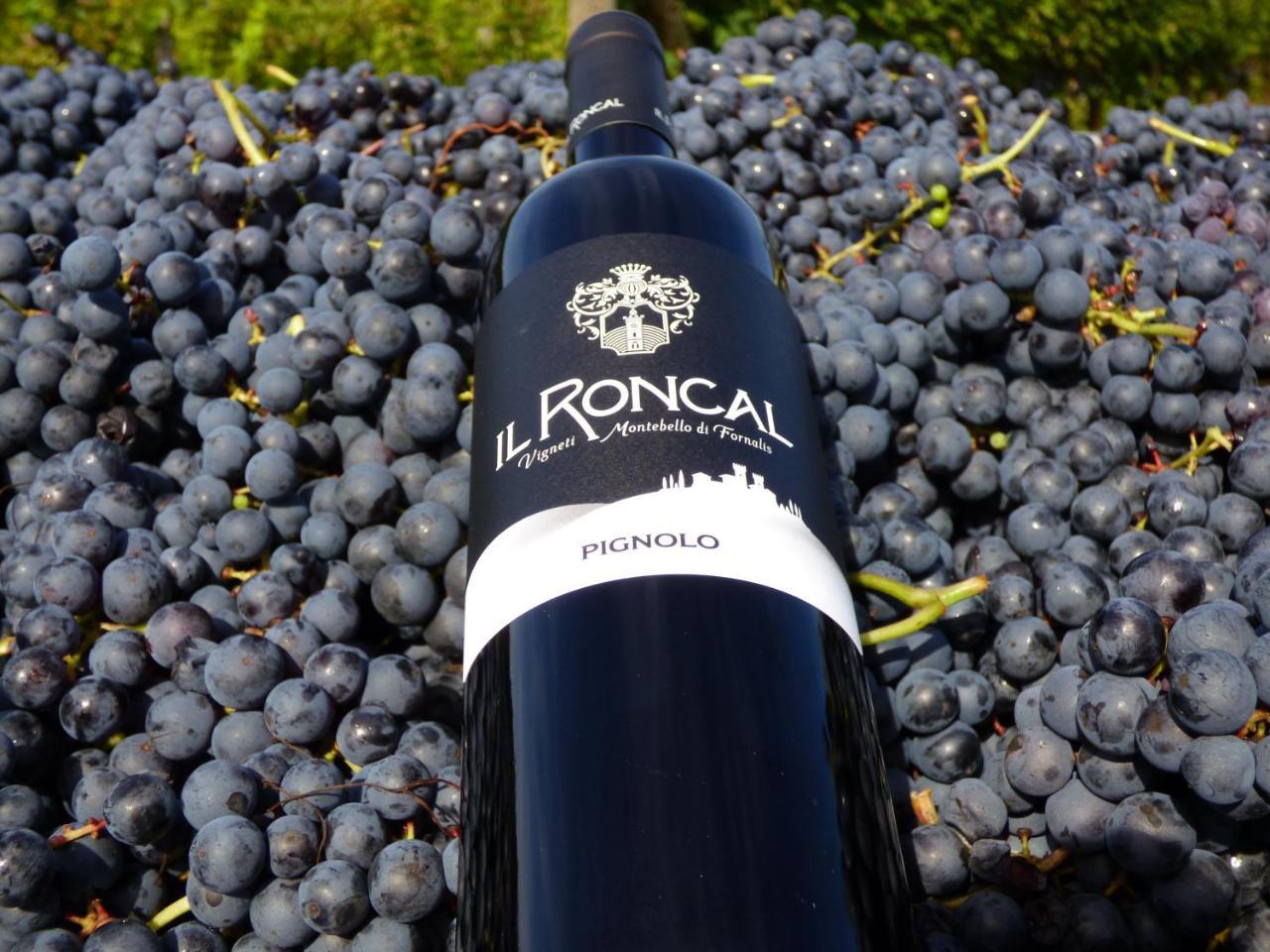 Il Roncal Wine Resort - For Wine Lovers Cividale Del Friuli Ngoại thất bức ảnh